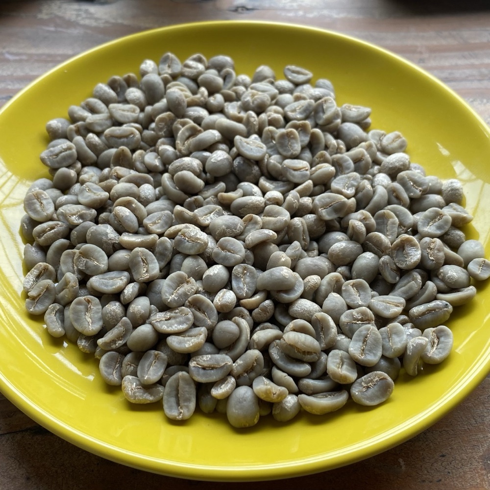 Java Preanger green coffee beans on a plate